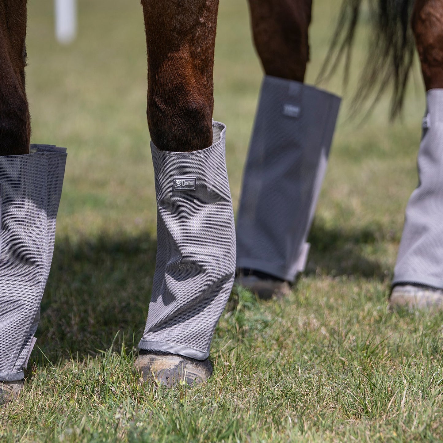 Cashel Crusader Leg Guards