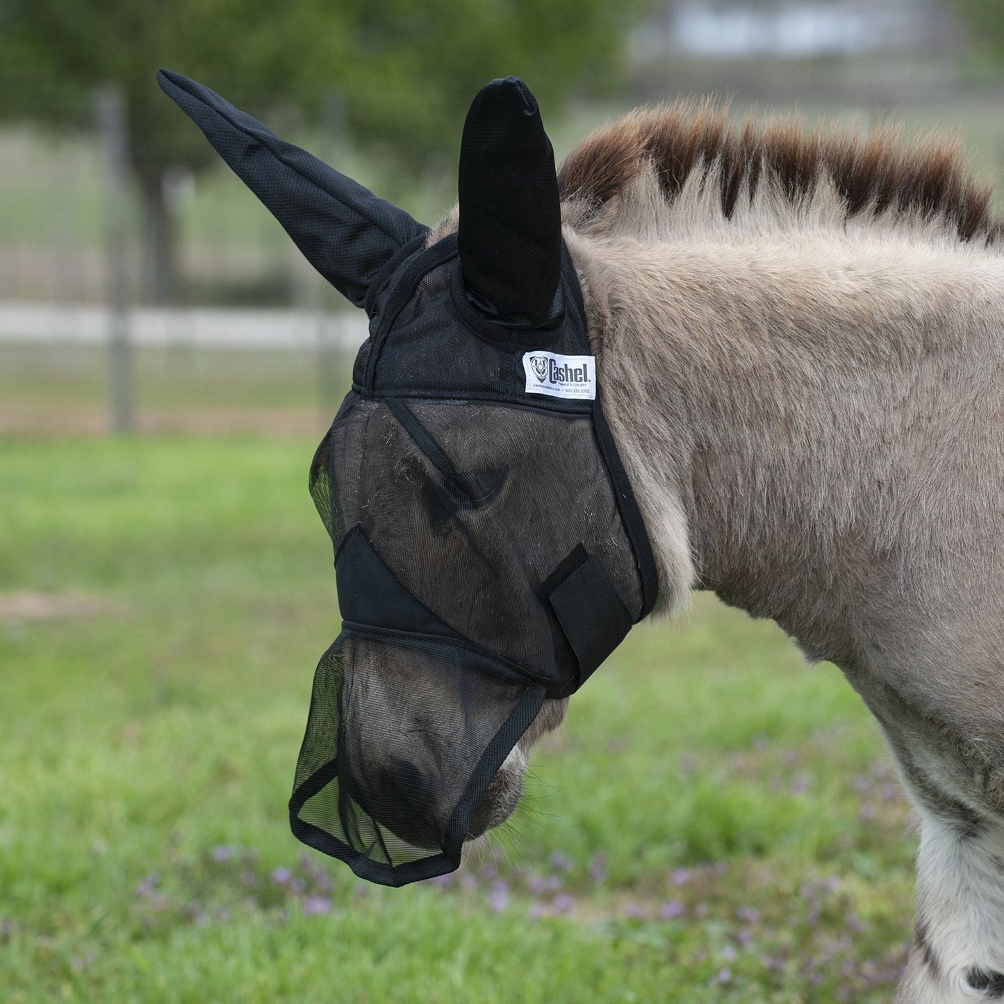 Cashel Quite Ride Mule/Donkey Fly Mask Long with Ears