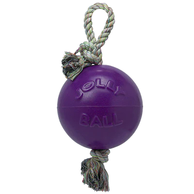 Jolly Pets Romp-n-Roll Toy