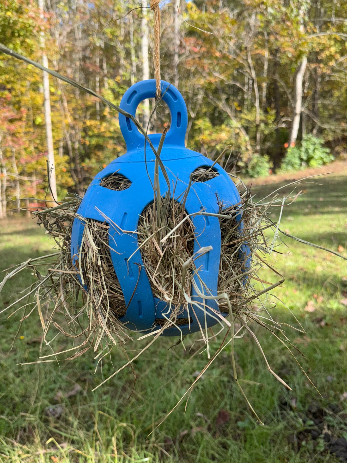 Jolly Hay Ball