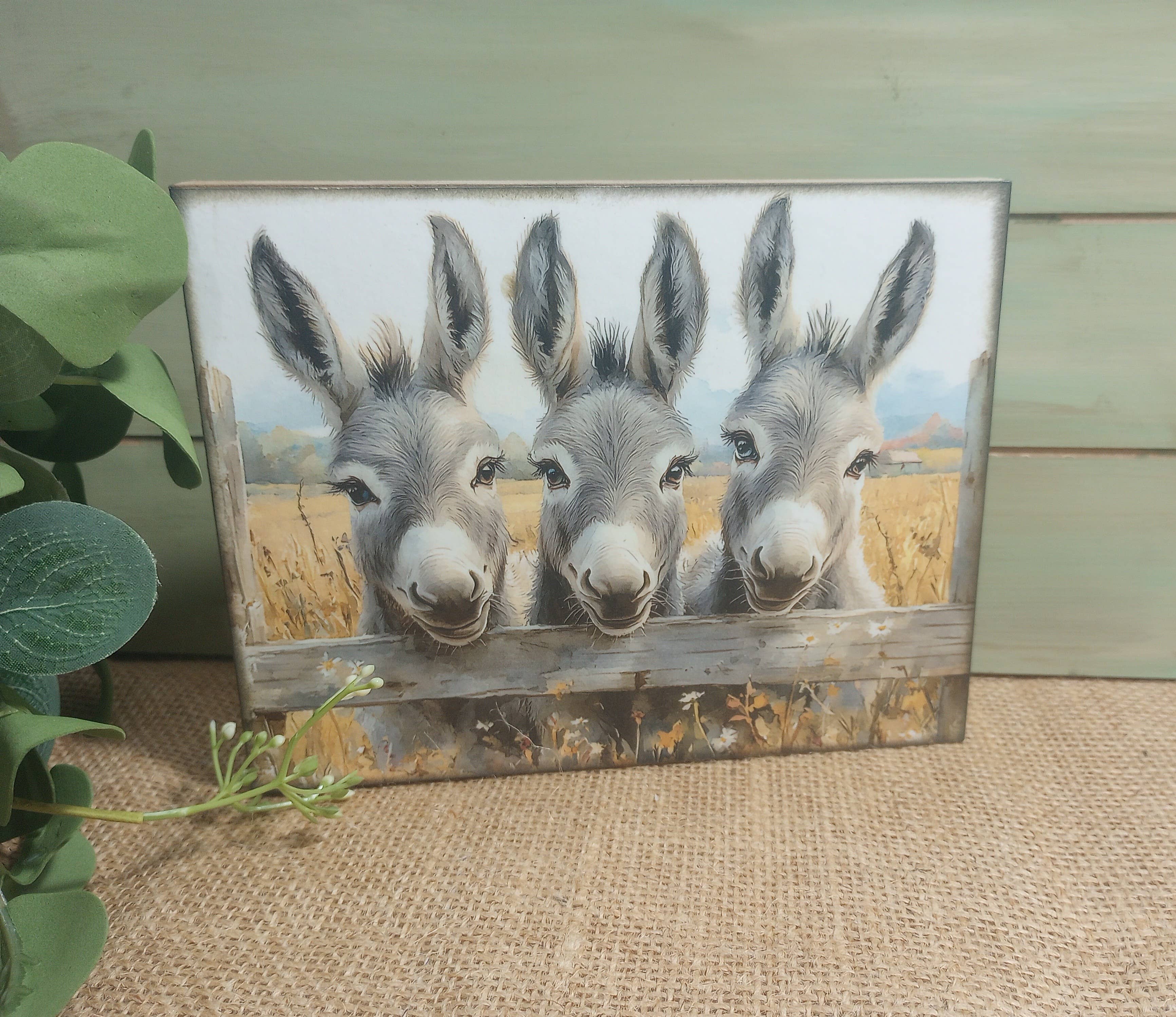 The Donkey Corner