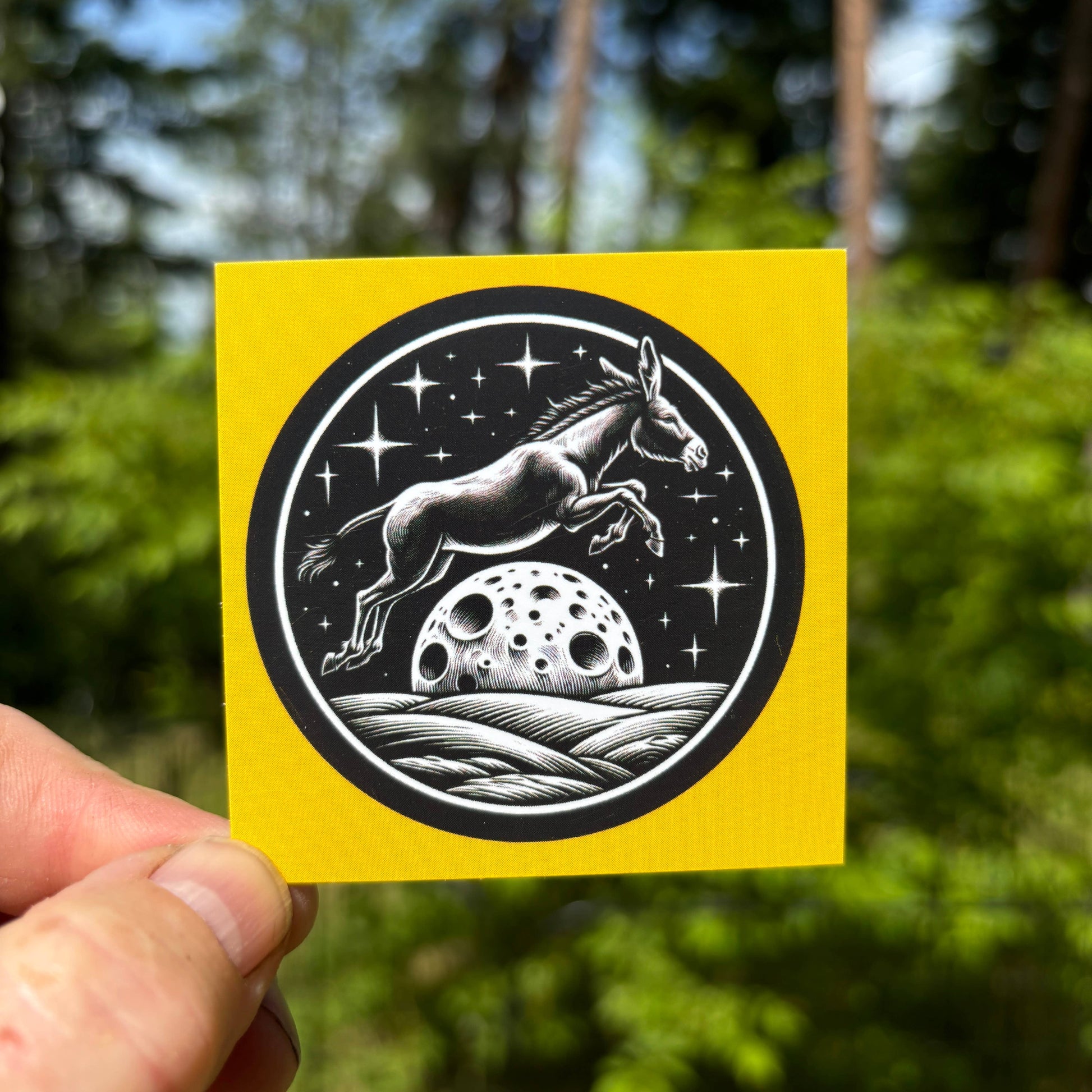 Donkey jumping over the moon mini note