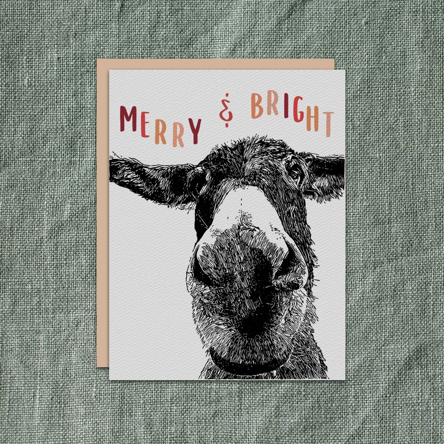 "Maya" Donkey Holiday Notecard (Package of 6) Christmas