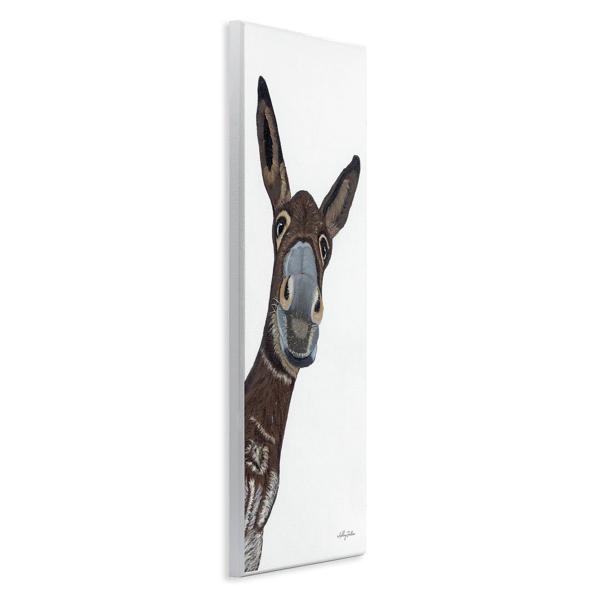 Donkey peering side 