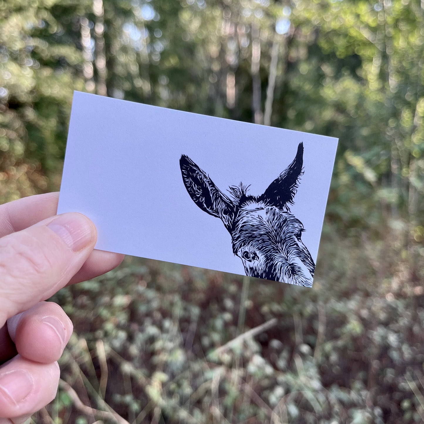 Sam donkey mini note size