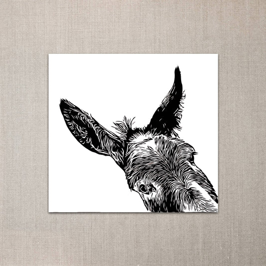 Donkey sticker -sam