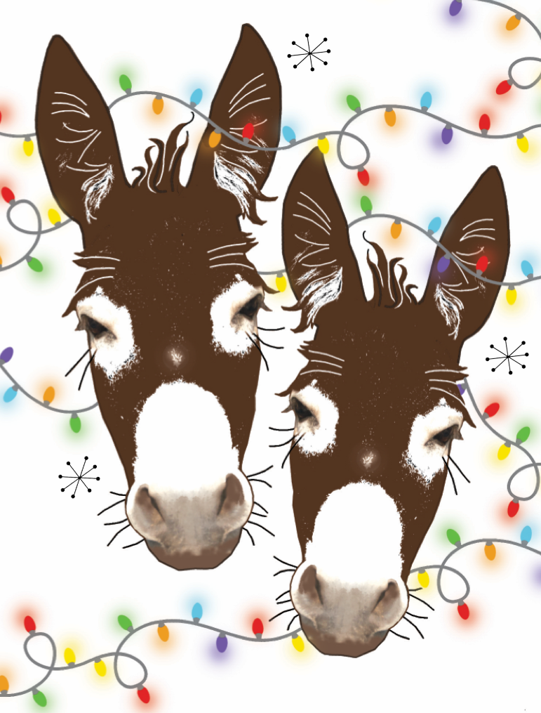 Donky Christmas card - lights