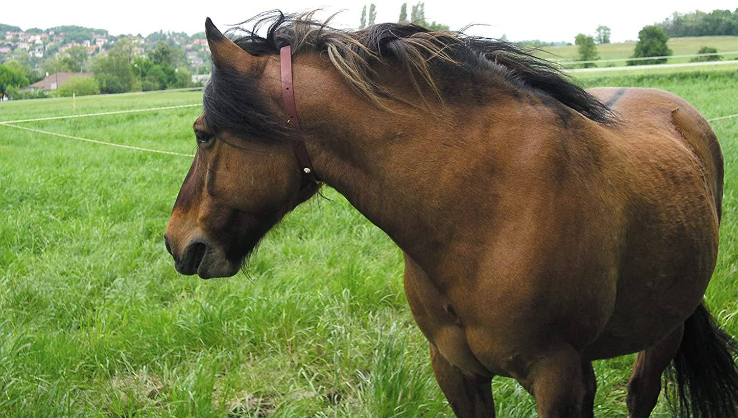 ALZOO™ Herbal Horse Collar