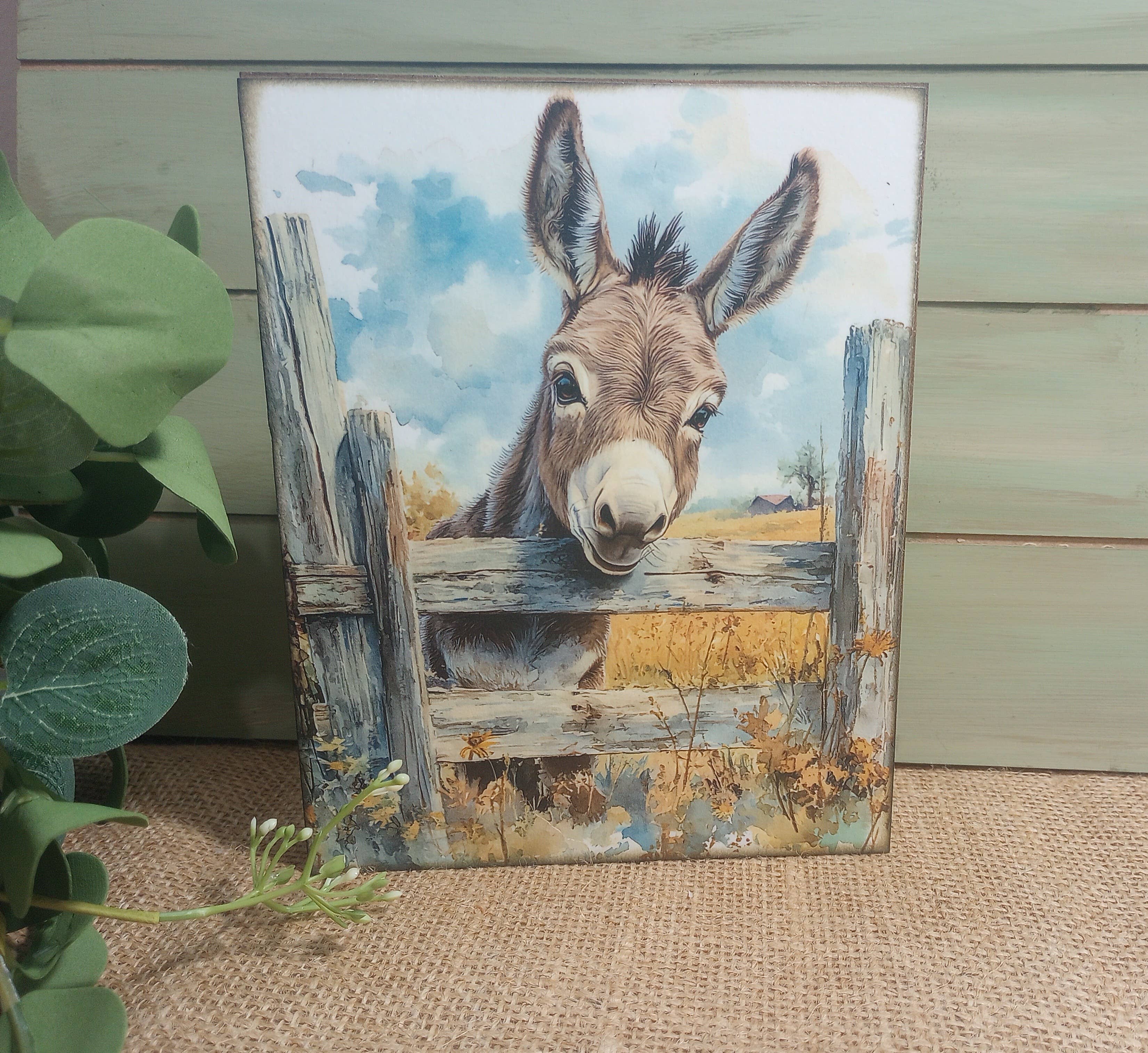 The Donkey Corner