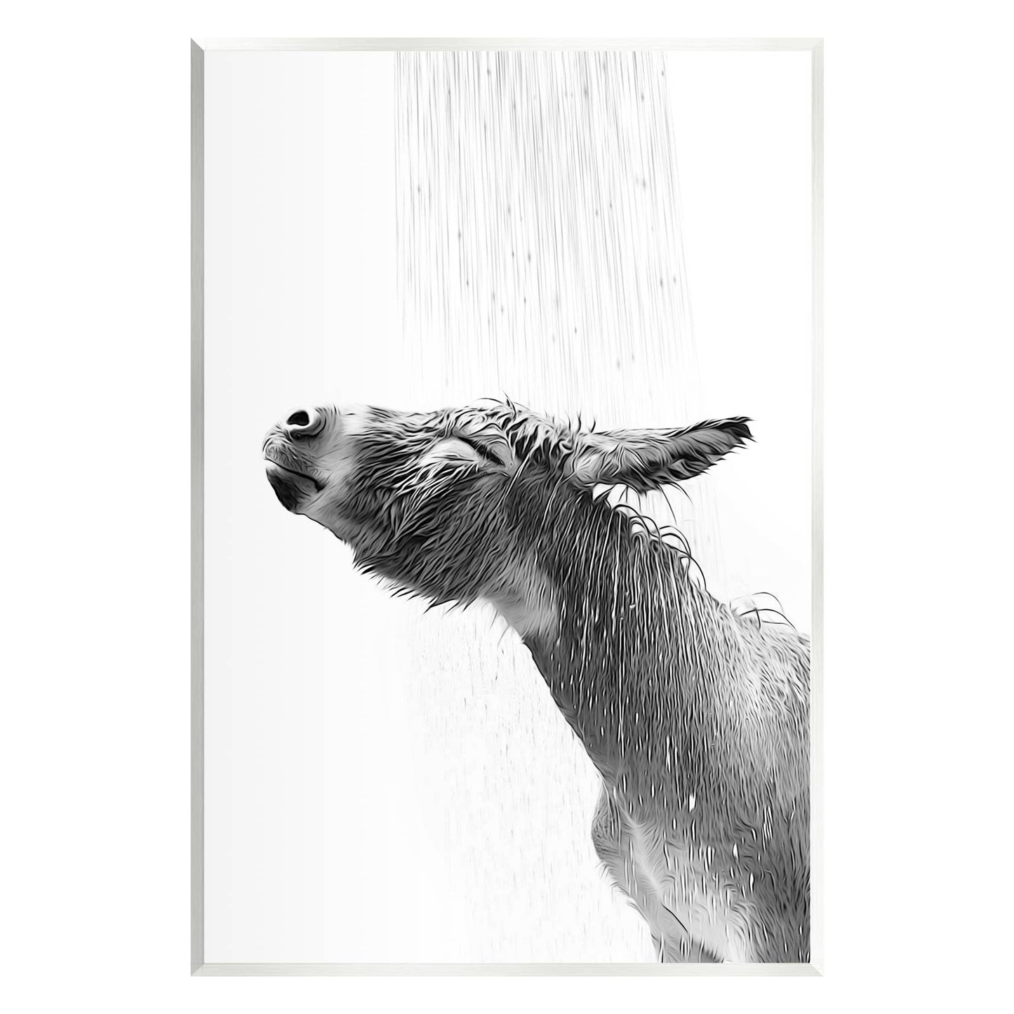 Donkey in shower wall art