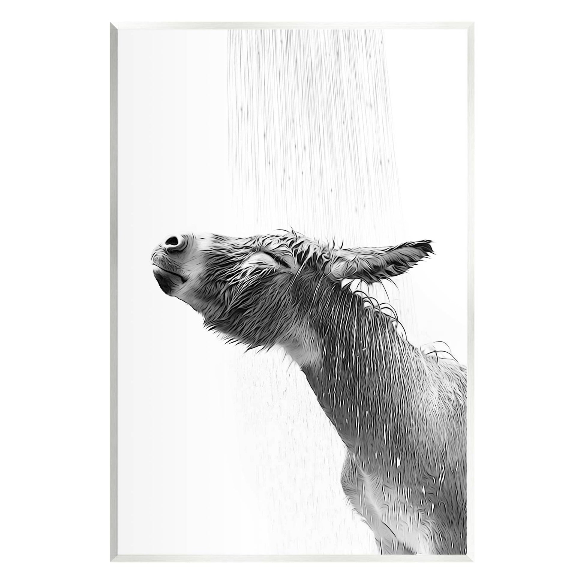 Donkey in shower wall art