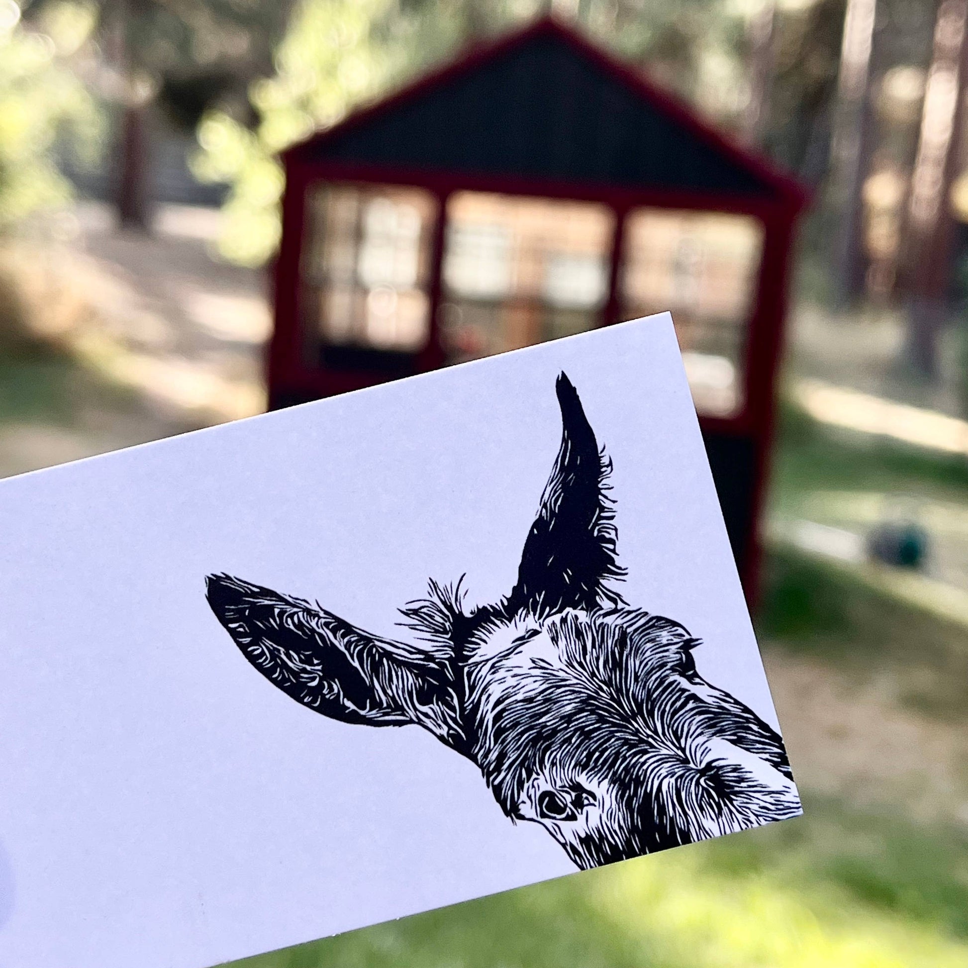 Donkey mini art note - Sam 1