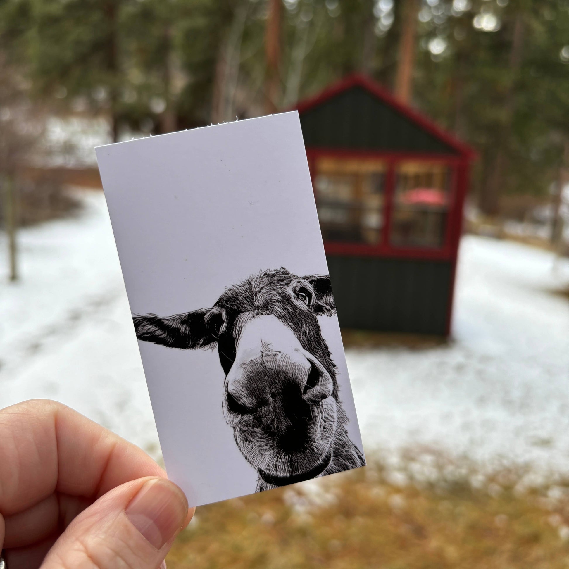 Maya donkey mini note holding 20ct