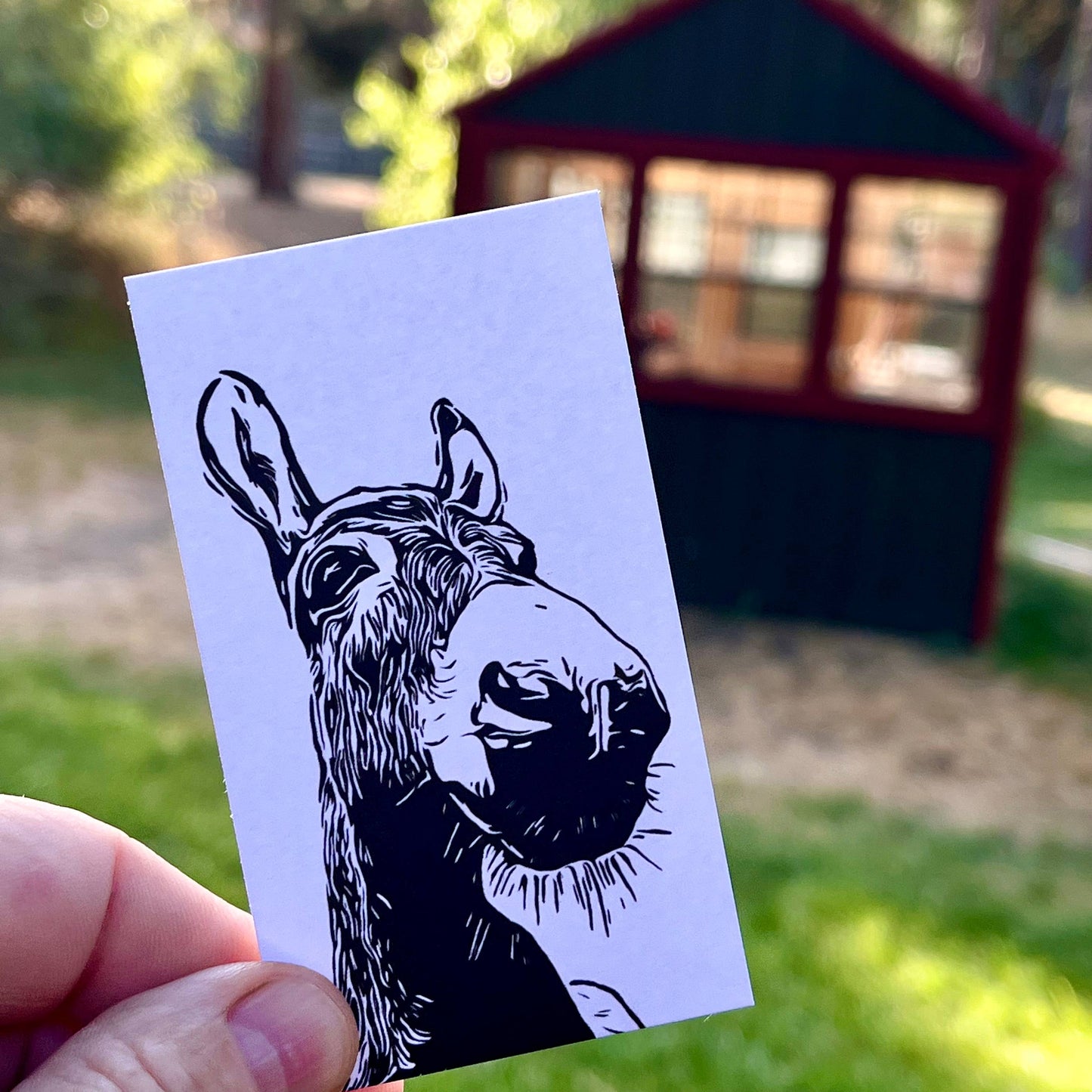 "Charlie" Donkey Mini Notes - 20 Count