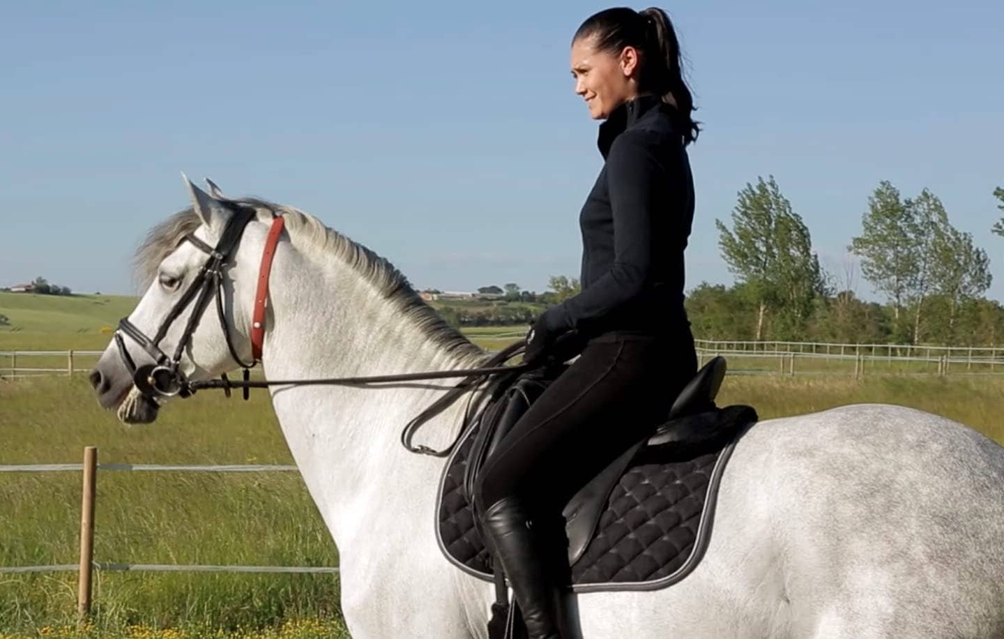 ALZOO™ Herbal Horse Collar