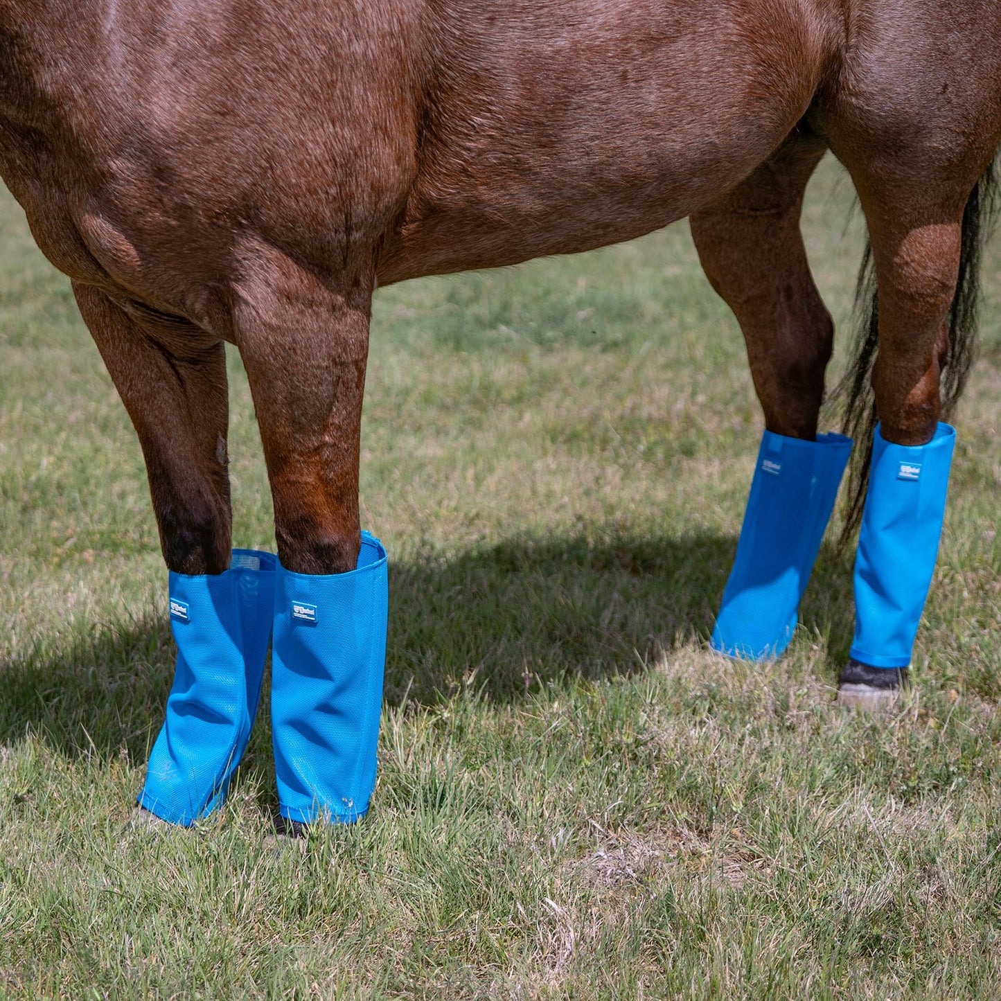 Cashel Crusader Leg Guards