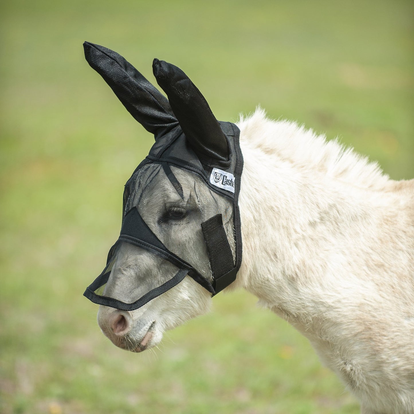 Cashel Quite Ride Mule/Donkey Fly Mask Long with Ears