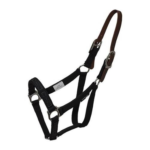 Thinline halter for grazing muzzle