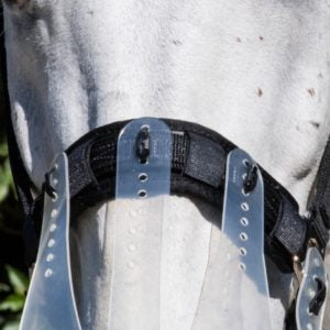 Thinline halter with grazing muzzle