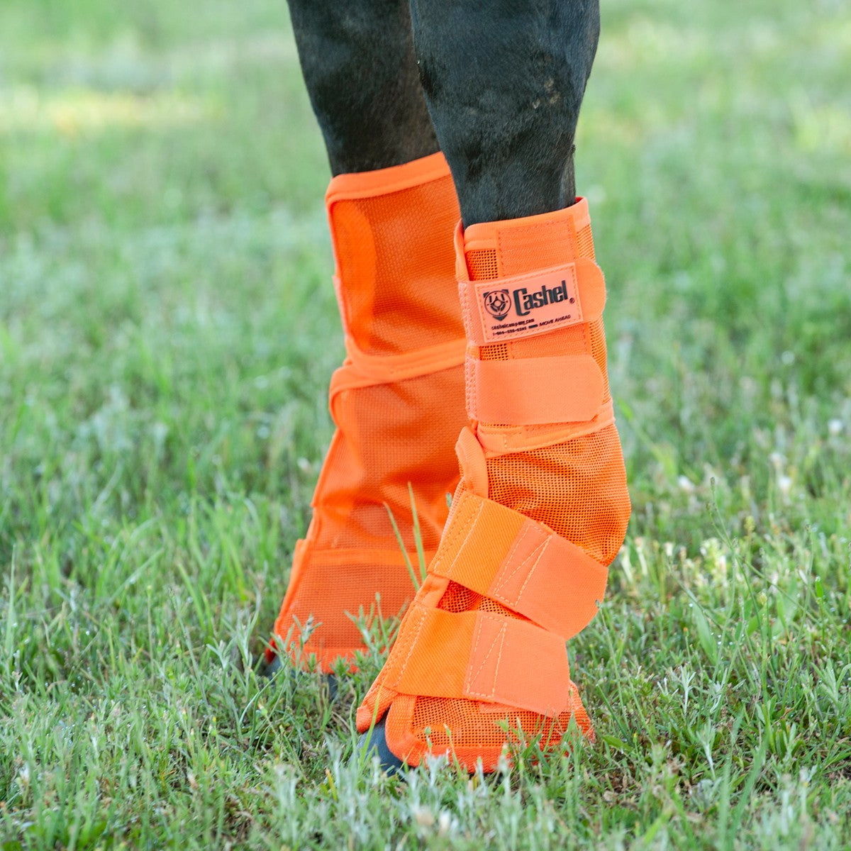 Cashel Crusader Leg Guards -Contoured- Horse