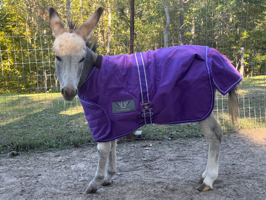 Mini donkey turnout blanket purple