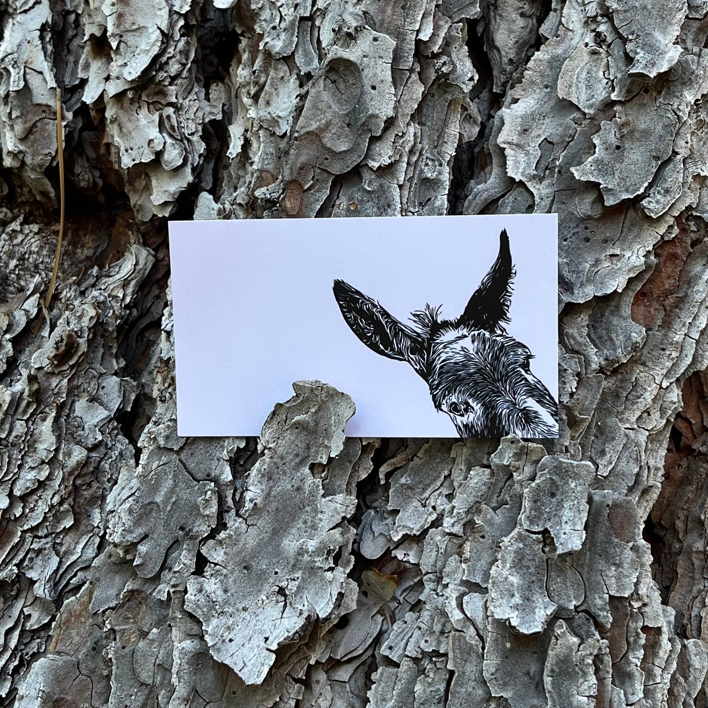 "Sam" Donkey Mini Notes