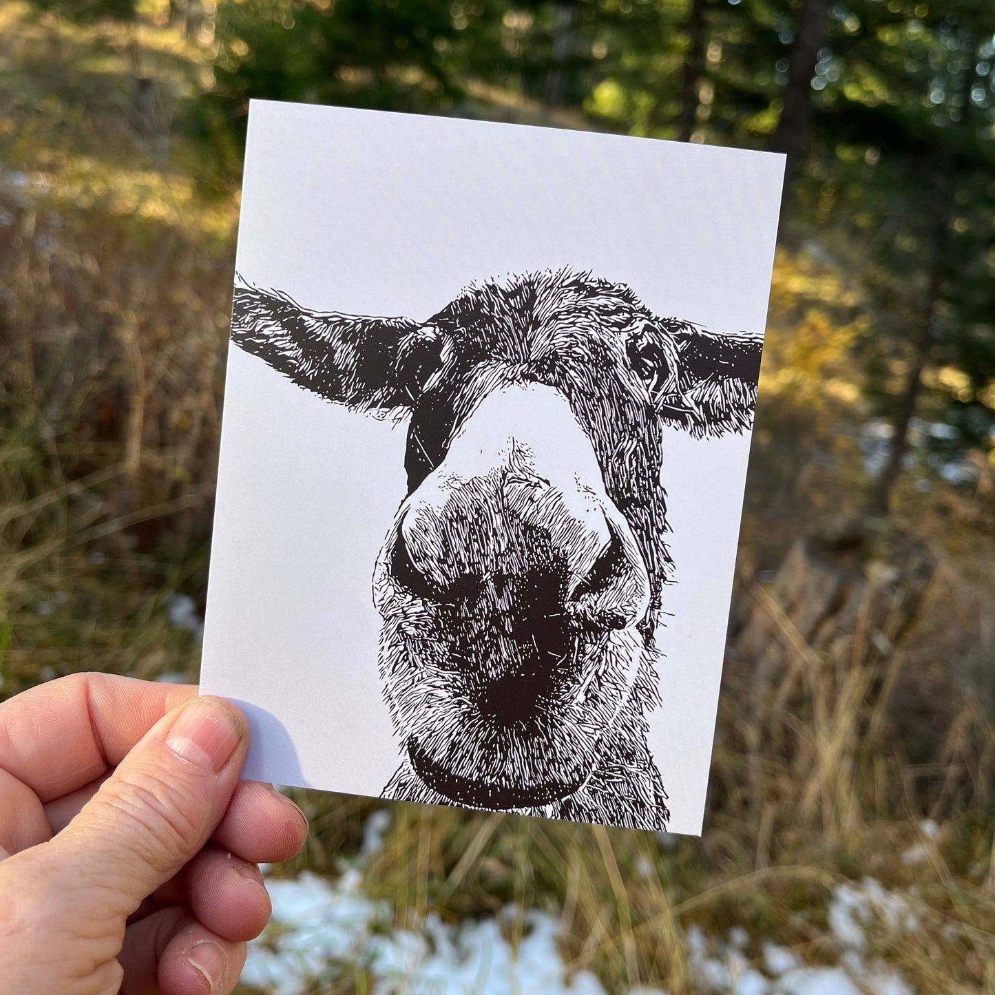 Maya donkey notecard holding 