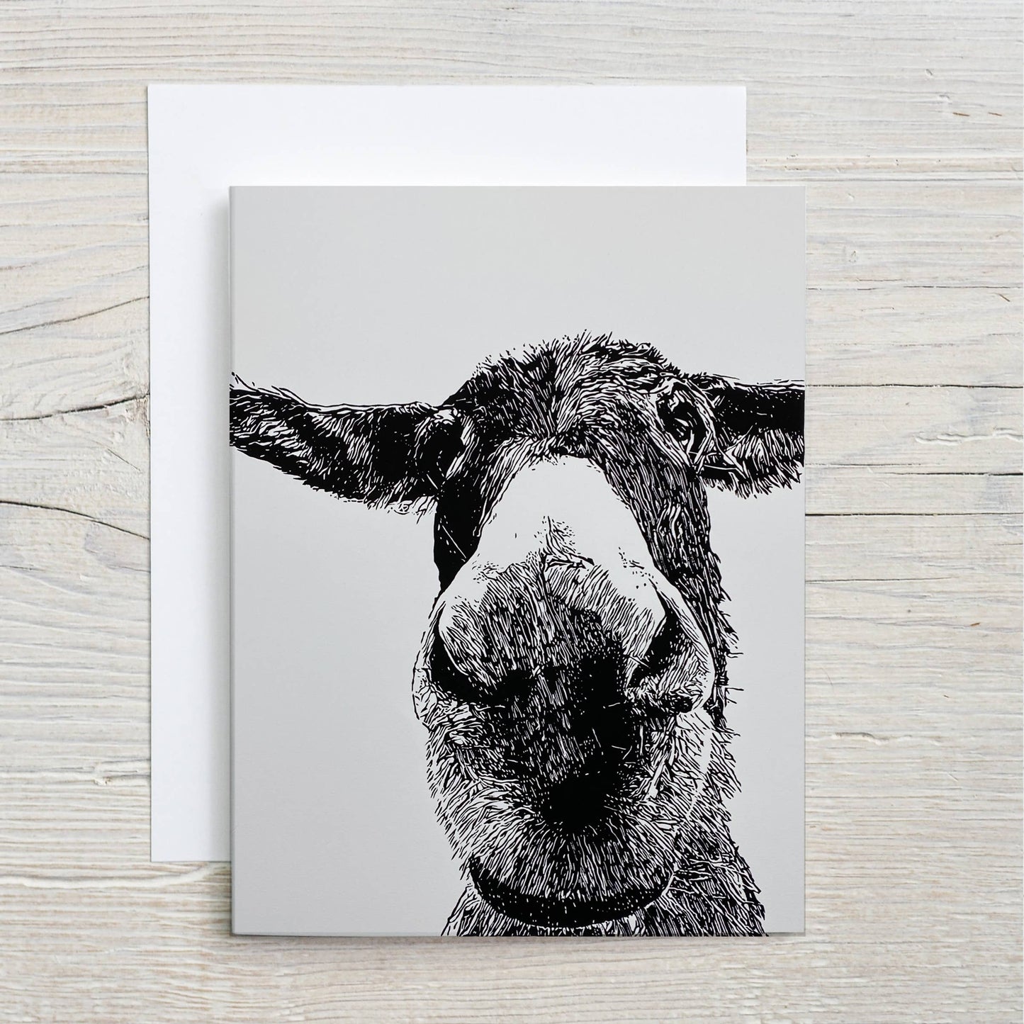 Donkey notecard collection 5