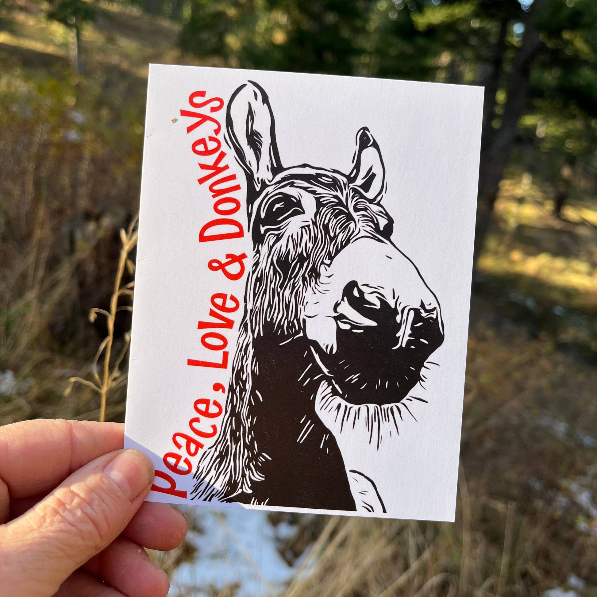 Donkey art note cards - peace, love & donkeys