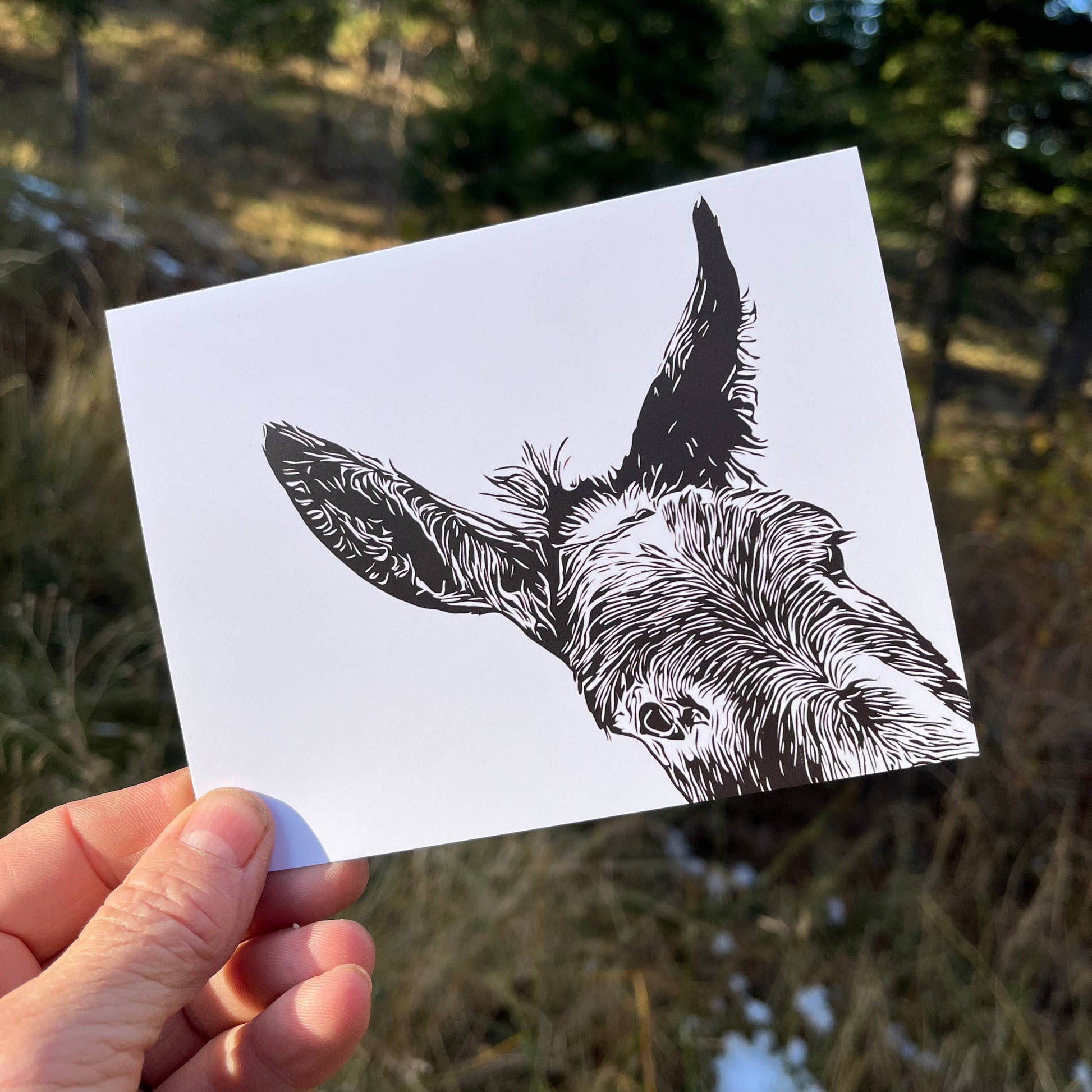 Donkey art note cards - sam
