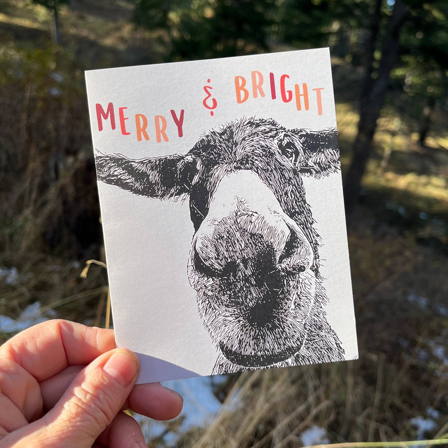 "Maya" Donkey Holiday Notecard (Package of 6) Christmas
