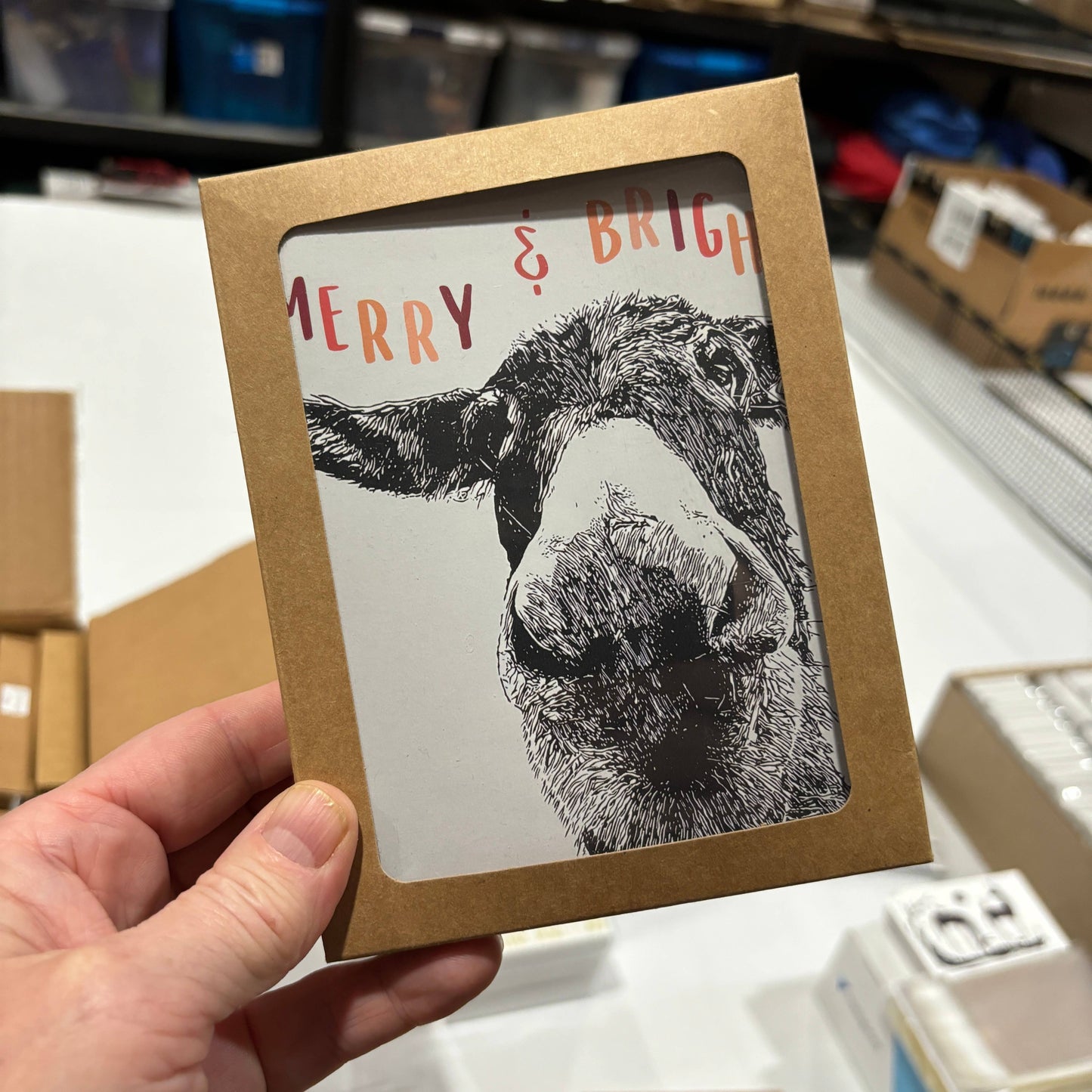 "Maya" Donkey Holiday Notecard (Package of 6) Christmas