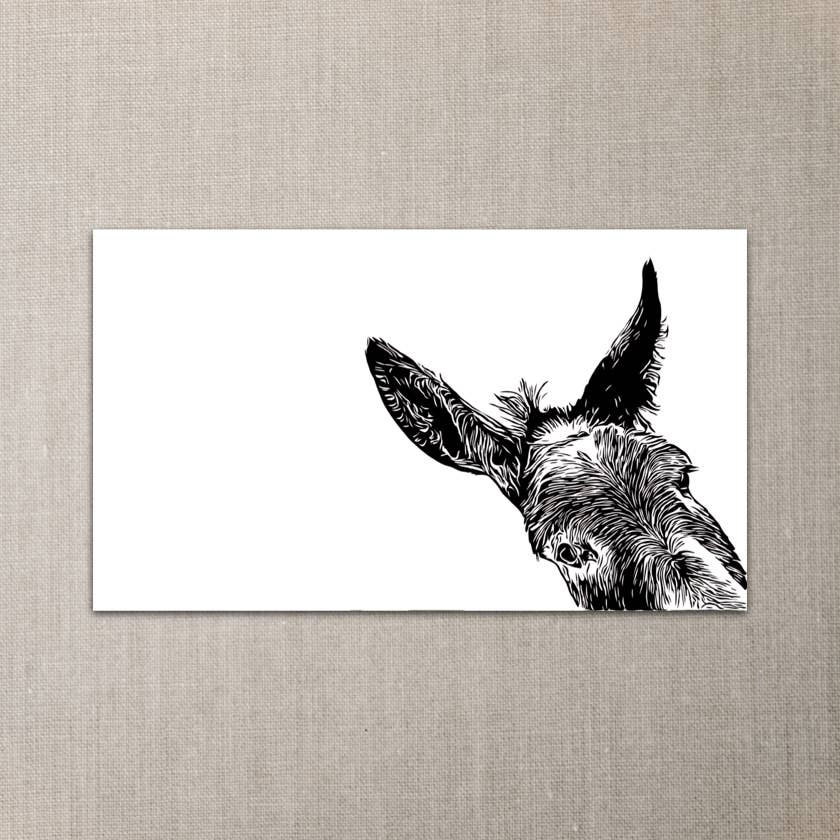 Sam donkey mini note