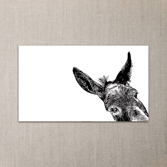 Sam donkey mini note