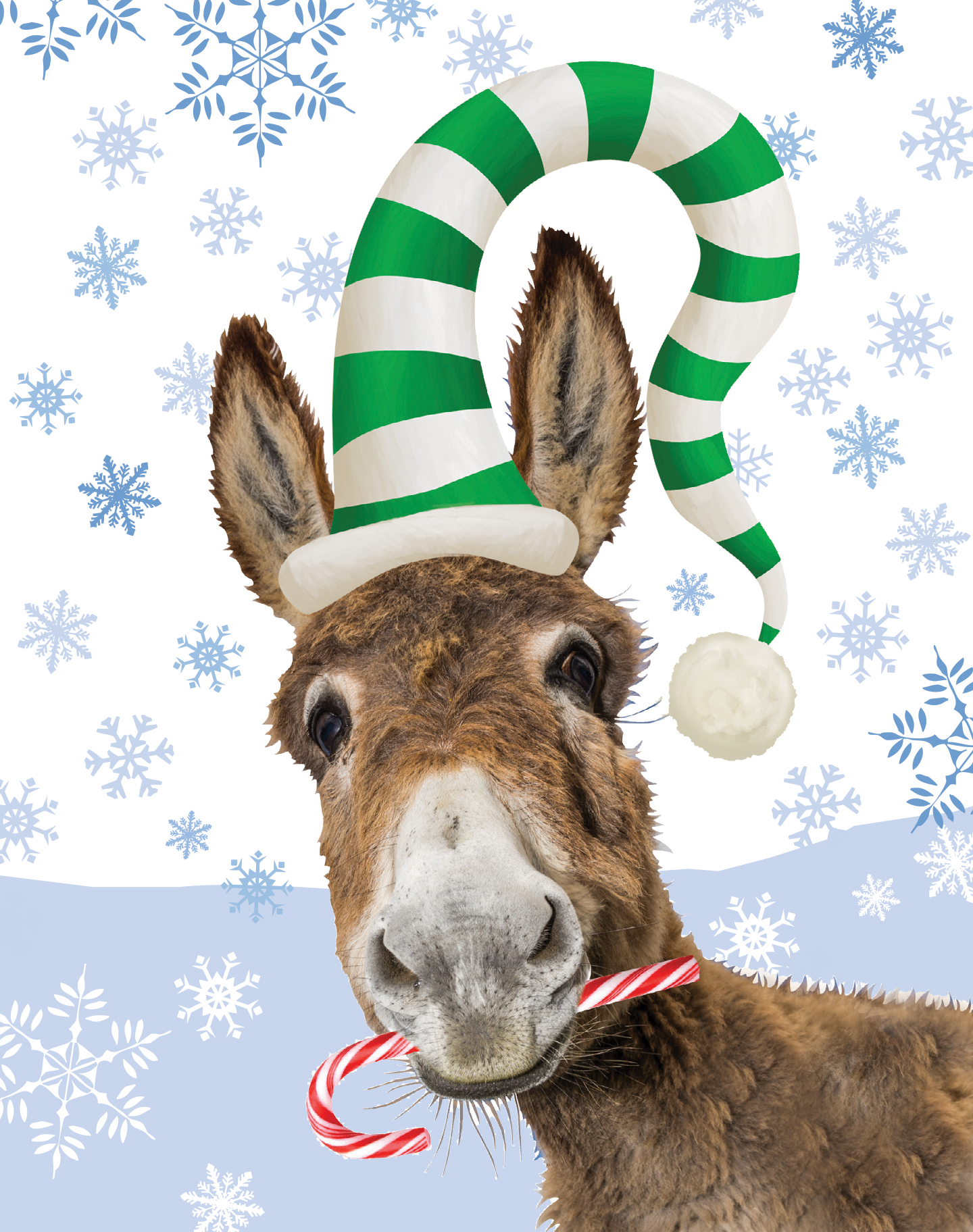 Christmas card - Donkey wearing a green and white striped hat with candy cane on a blue background with snowflakes
