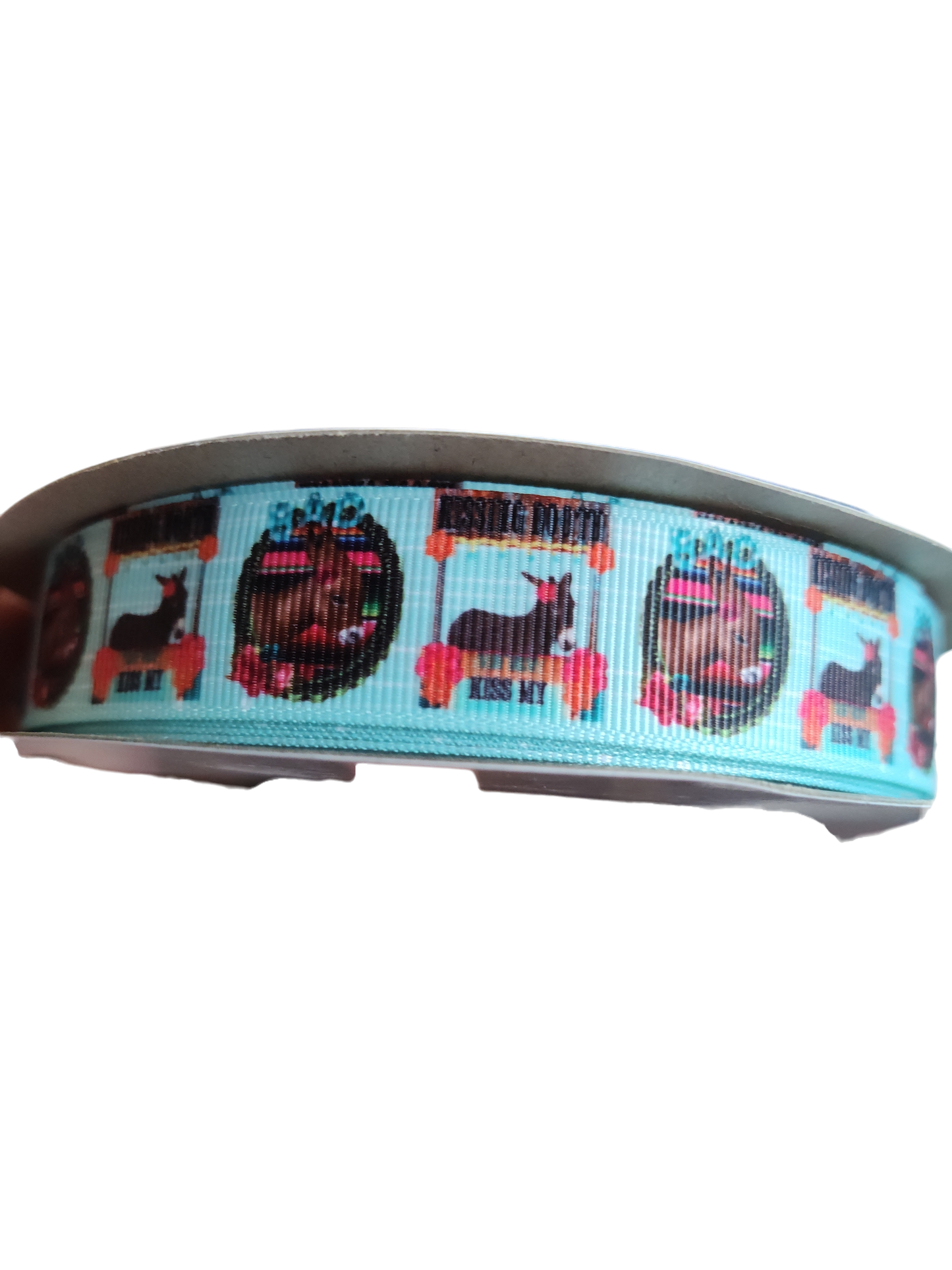 Donkey Kissing Booth Nylon Dog Collar